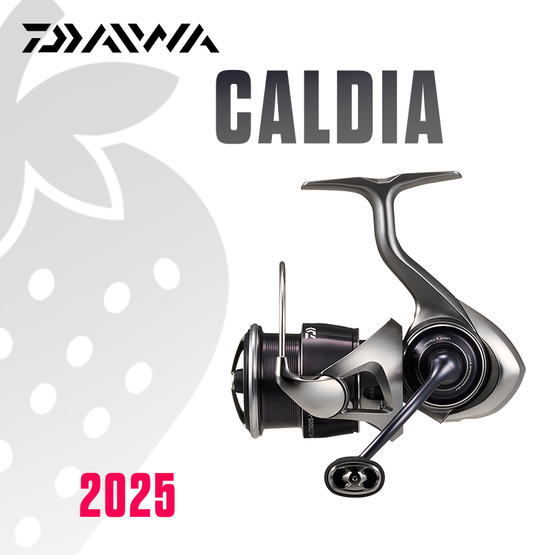 Daiwa Reel Bg - ダイワ 2025 カルディア LT フィッシングリール スピニングリール